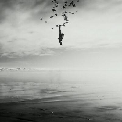 狗万官网app下载