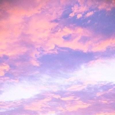 IM体育官网登录入口