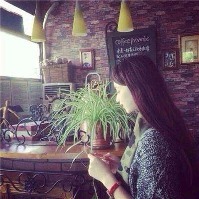 北单体彩网官网